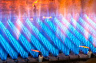 Blackford gas fired boilers